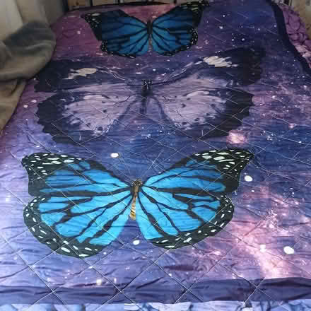 Photo of free King-size Bedspread (Bradford on Avon BA15) #1