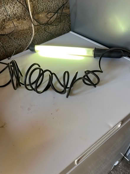 Photo of free Inspection light (Kingsway) #1