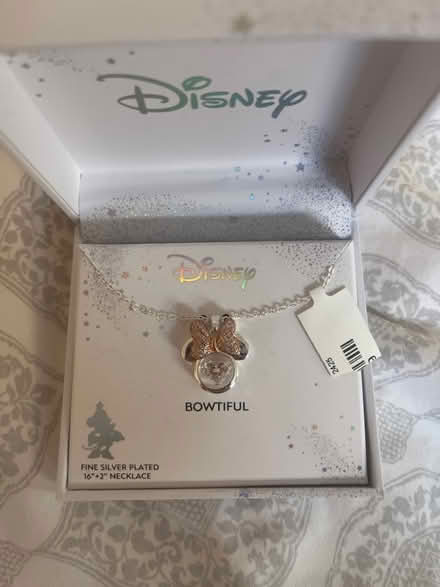 Photo of free Disney necklace (Berryessa) #1