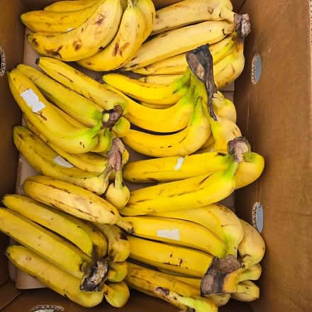 Photo of free Bananas, Strawberries, Breads (Chiquita Av MtnVw) #1