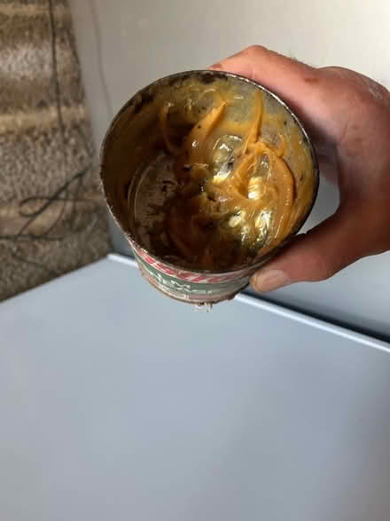 Photo of free Grease (Kingsway) #2