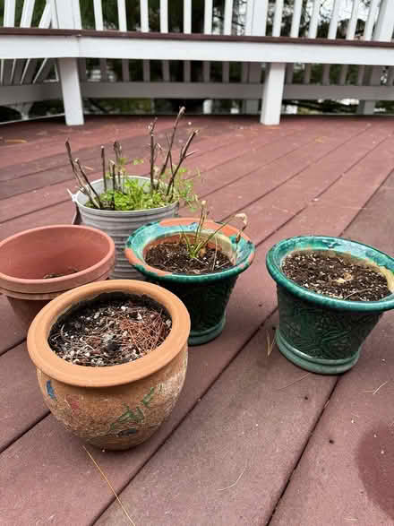 Photo of free Planting Pots (Boyds, Maryland) #1