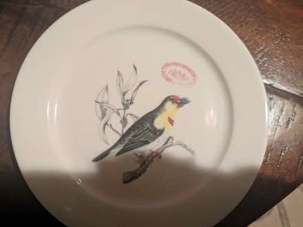 Photo of free 4 British Museum bird plates (Columbia Heights) #3