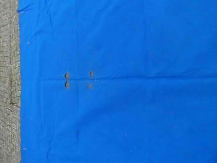 Photo of free Large blue sheet (Benson OX10) #3