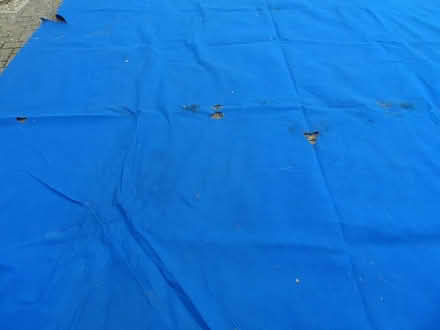Photo of free Large blue sheet (Benson OX10) #2