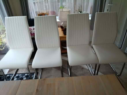Photo of free Dining chairs (Portishead BS20) #1