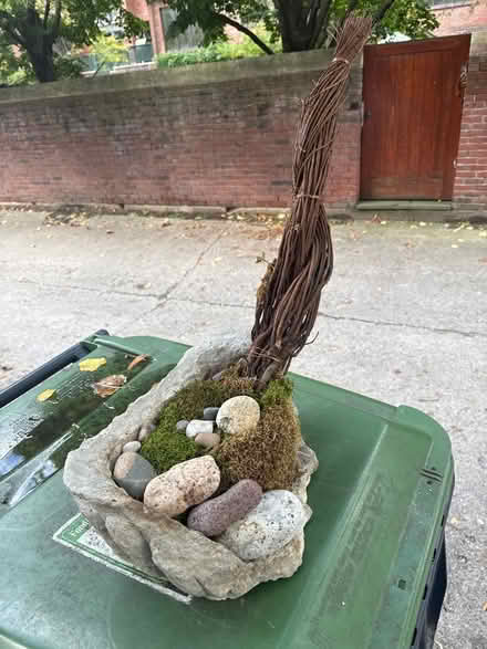 Photo of free Creation for plant lover (Dempster east of Ridge) #2