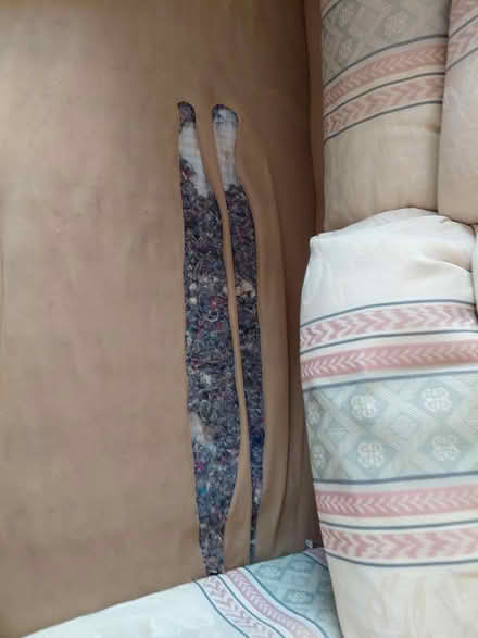 Photo of free Sofa (PL24) #2