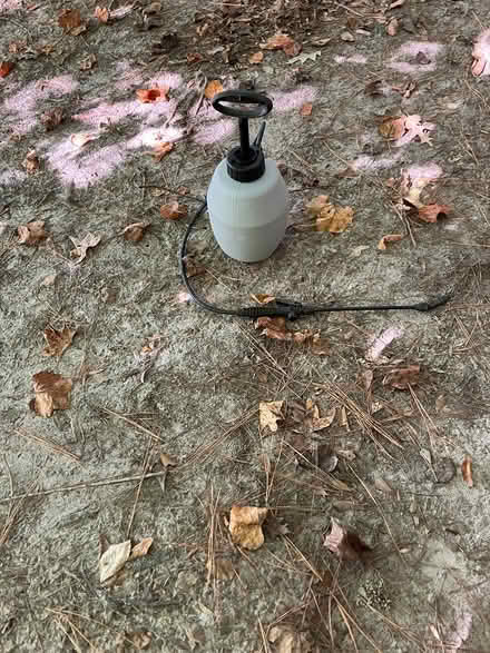 Photo of free Spray container (Clayton NC) #1