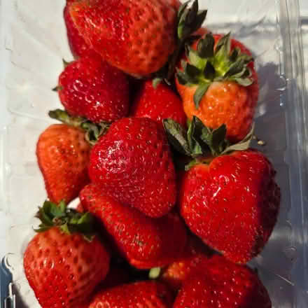 Photo of free Bananas, Strawberries, Breads (Chiquita Av MtnVw) #2