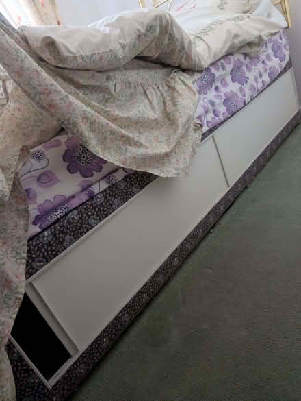 Photo of free Single bed (Firth Park S5) #1