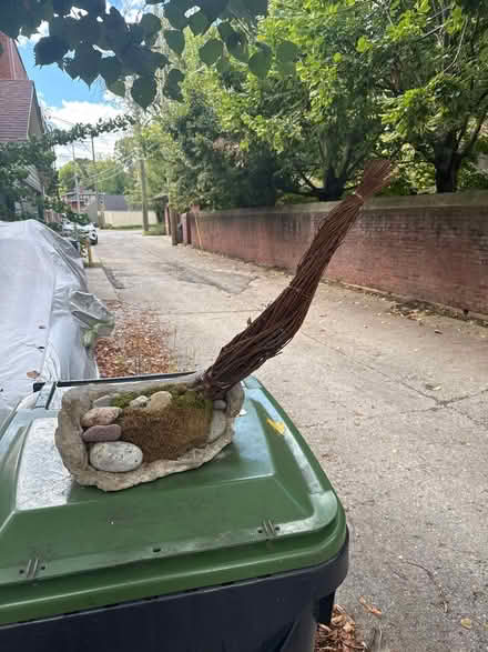 Photo of free Creation for plant lover (Dempster east of Ridge) #1