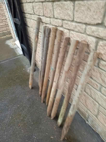 Photo of free Wooden stakes (Calne SN11) #2