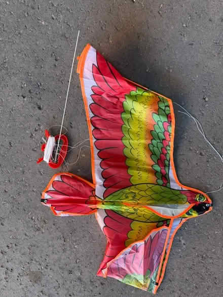 Photo of free Broken Kite (Vic Park north of Eglinton) #1