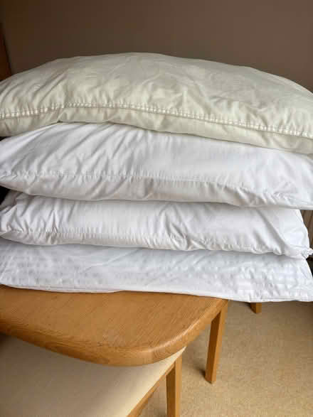 Photo of free Pillows (Bexleyheath DA6) #1