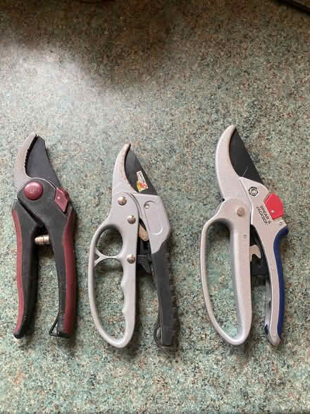 Photo of free Secateurs (Bishopston BS7) #1