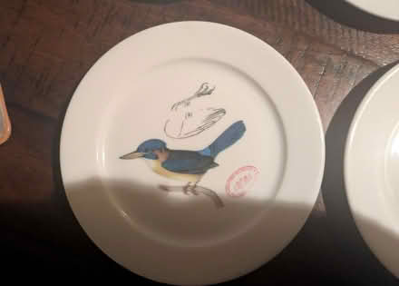 Photo of free 4 British Museum bird plates (Columbia Heights) #2