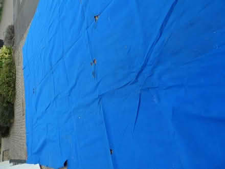 Photo of free Large blue sheet (Benson OX10) #1