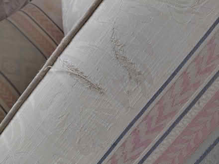 Photo of free Sofa (PL24) #3