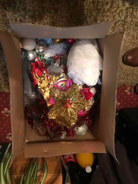 Photo of free Tree decs (CV4) #1