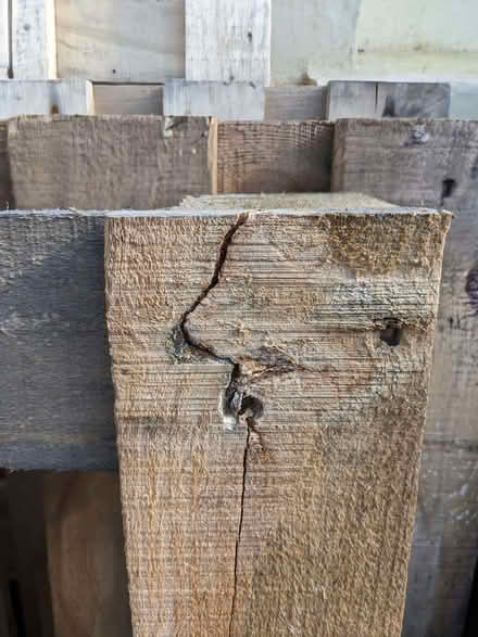 Photo of free Four Pallets Various Sizes (PL4) #3