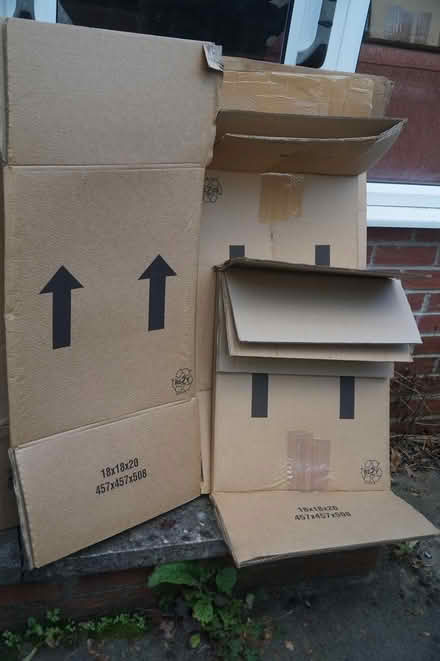 Photo of free Moving Boxes (Pickering YO18) #1