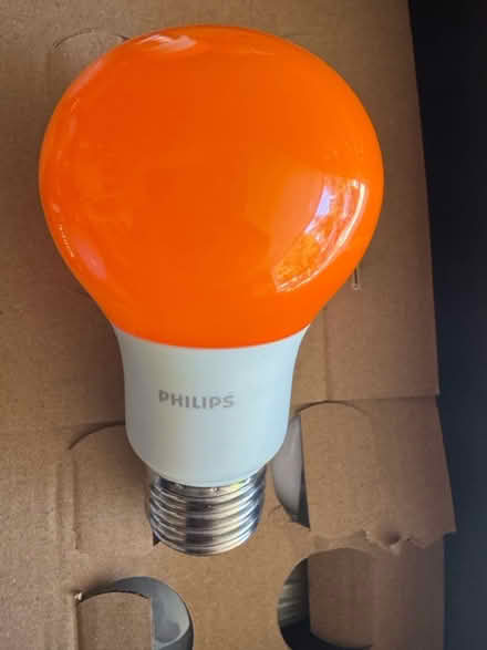 Photo of free 4 Orange LED bulbs (Downers Grove - South) #1
