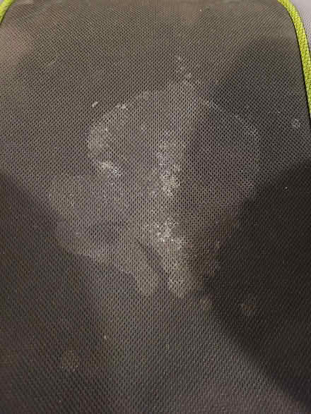 Photo of free Kid's Booster Seat for Car (Montlake) #2