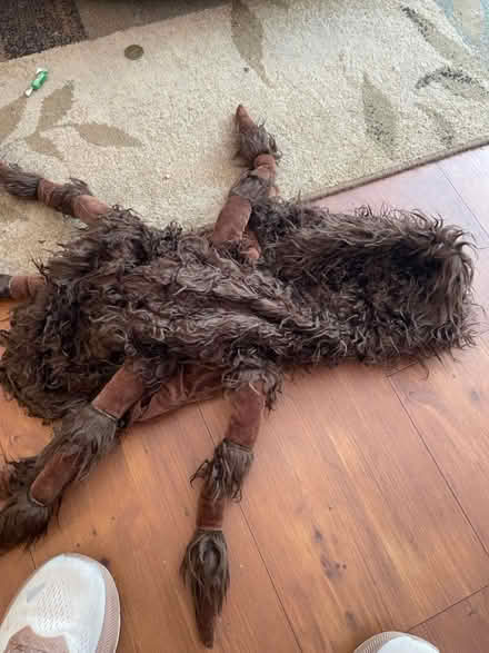 Photo of free Dog Halloween costume (West Chester) #1