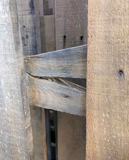Photo of free Four Pallets Various Sizes (PL4) #4