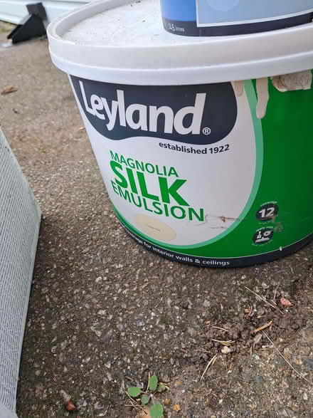 Photo of free Magnolia paint (Gadebridge HP1) #1