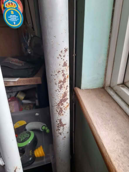 Photo of free Single "High-sleeper" style bed (Loughborough LE11) #2
