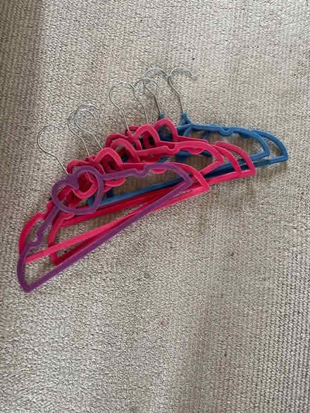 Photo of free Small clothes hangers (Woodley RG6) #1