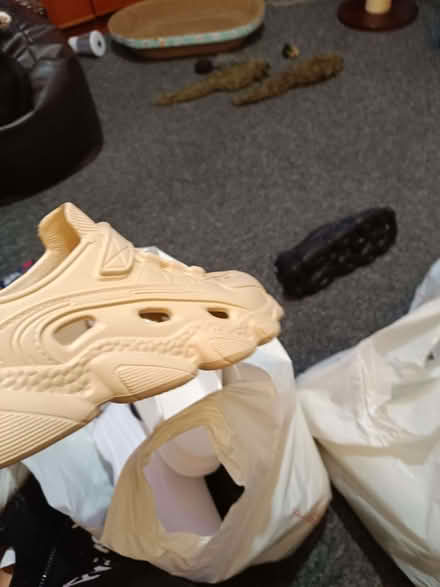 Photo of free Shoes all new small size 8 more a 7 (Glenrothes KY7) #3