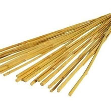 Photo of Pea or bamboo sticks. (New Brighton CH45) #1