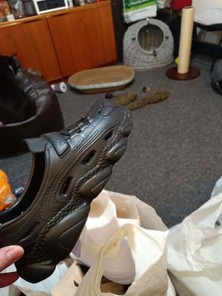 Photo of free Shoes all new small size 8 more a 7 (Glenrothes KY7) #2