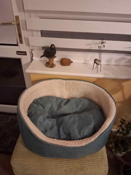 Photo of free Small dog bed (New milton) #1