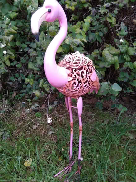 Photo of free Pink Flamingo Garden Ornament (Marcham OX13) #1