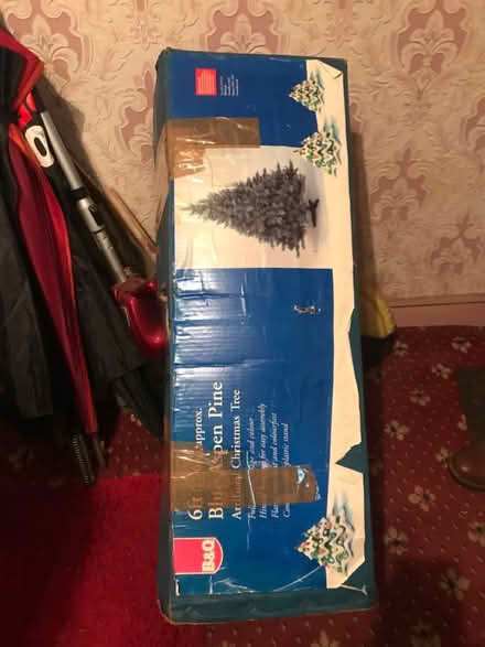 Photo of free Christmas tree (CV4) #1
