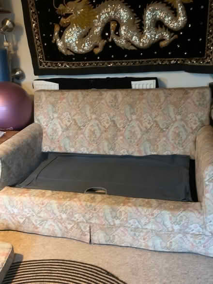 Photo of free Sofa bed (Castle Cary) #4