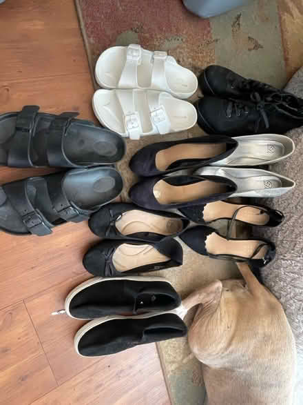 Photo of free Women’s shoes size 9 (West Chester) #1