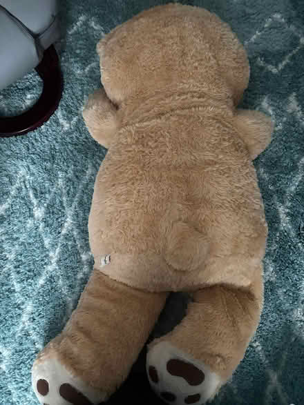 Photo of free Giant teddy (Downham BR1) #2