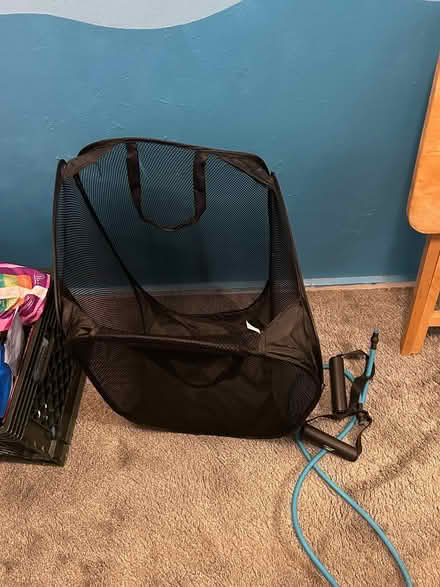 Photo of free Mesh hamper (North Berkeley) #1