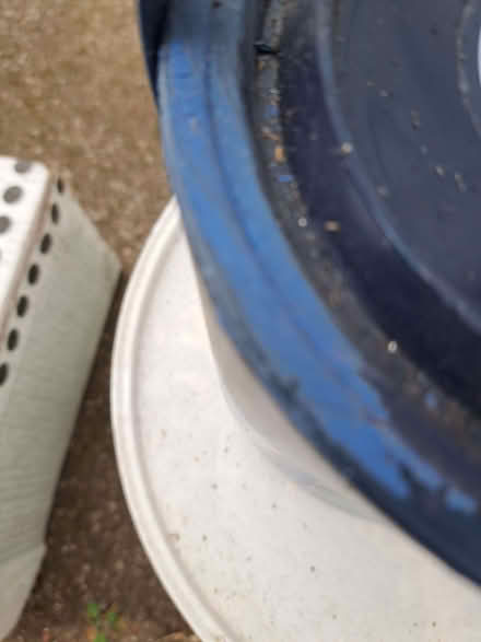 Photo of free Sapphire paint (Gadebridge HP1) #1