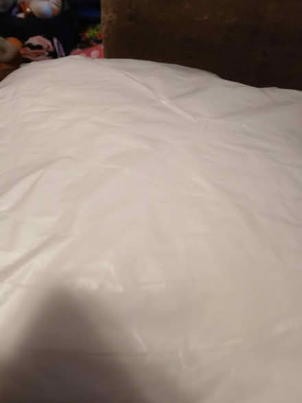 Photo of free Large cushions, (Little Carleton FY3) #1