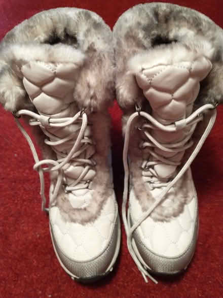 Photo of free LLBean Books 9/5 UD/Ravenna (NE Seattle/Ravenna/UD) #2