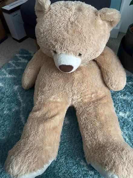 Photo of free Giant teddy (Downham BR1) #1