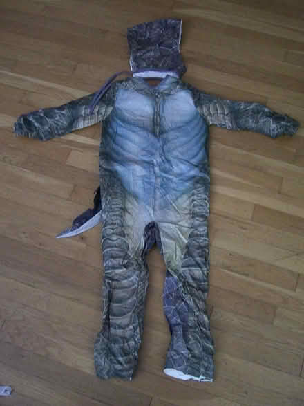 Photo of free Halloween items (Pleasantville) #4