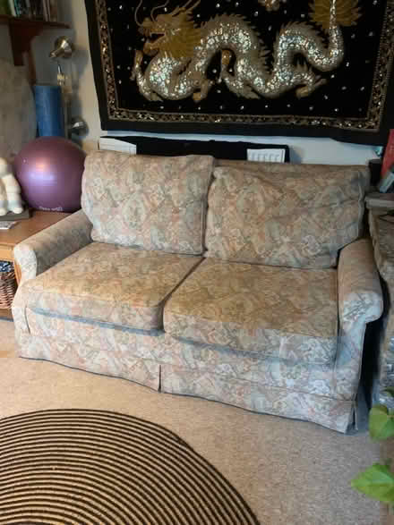 Photo of free Sofa bed (Castle Cary) #1