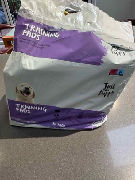 Photo of free Puppy training pads (Battersea, SW11) #1